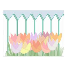 Tulips By The Picket Fence Post Cards