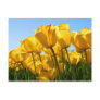 Tulips Collection Postcards