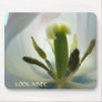 Tulips Flower LOOK INSIDE! mousepad Spring