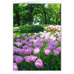 Tulips garden cards