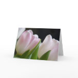 Tulips • Greeting Card