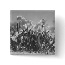 Tulips in bloom button