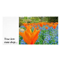 TULIPS IN GOLDERS HILL PARK PERSONALIZED PHOTO CARD