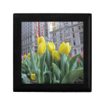 Tulips in New York City Gift Boxes