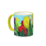 Tulips in Springtime Mug