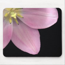 Tulips mousepads