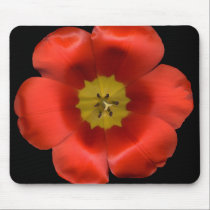 Tulips mousepads