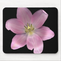 Tulips mousepads