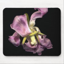 Tulips mousepads
