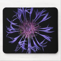 Tulips mousepads