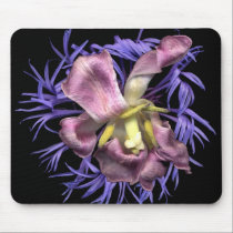 Tulips mousepads