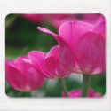 Tulips Mousepad