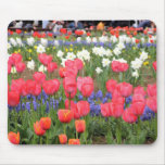Tulips Mouse Pads