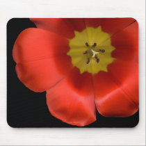Tulips mousepads