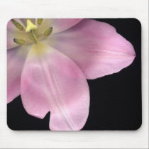 Tulips mousepads
