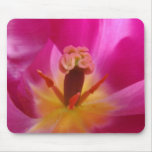 TULIPS MOUSEPADS Pink Tulip Flowers MOUSE PAD