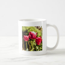 Tulips Mug