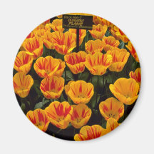 Tulips, Olympic Flame, Keukenhof Gardens, Netherla Fridge Magnets