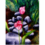 Tulips photo sculptures