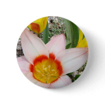 TULIPS PINK TULIP FLOWERS 9 Cards Art Gifts