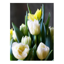 Tulips Postcard