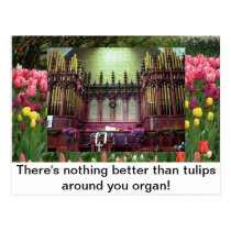 Tulips postcards