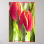 Tulips posters