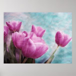 Tulips Posters