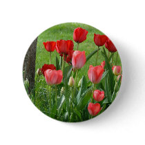 TULIPS RED TULIP FLOWERS 32 Cards Art Gifts