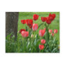 TULIPS RED TULIP FLOWERS Cards Art Gifts Postcards