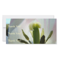 Tulips Thank You Card Thank You Photocard Thanks