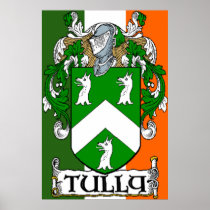Tully Coat of Arms Irish Flag Print