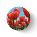Tulpen Speldje