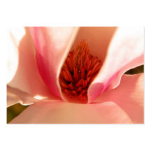 Tulpenbaum Visitenkarten Vorlagen