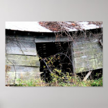 Tumble Down Farm Shed With Fallen Roof Print
