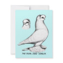 Tumbler:  Royal Snow Pigeon invitations