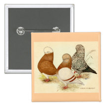 Tumblers Three Pinback Button