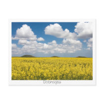 Tumuli Post Card