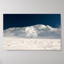 Tundra Poster