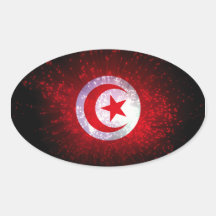 Tunisia Flag Firework Oval Stickers