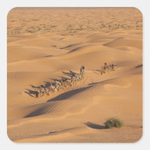 Tunisia, Ksour Area, Ksar Ghilane, Grand Erg 4 Square Stickers