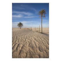 Tunisia, Sahara Desert, Douz, Great Dune, dawn