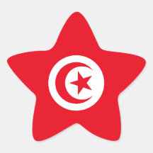 Tunisia/Tunisian Flag Star Sticker