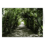 Tunnel of Green Greeting Cards