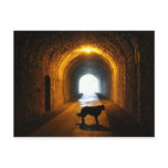 tunnel silhouetted dog postcards
