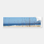 Tura Beach Bumper Stickers