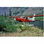 Turbine Beaver N754 Floatplane on Lake Photo Sculpture