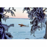 Turbine Beaver N754 on Snow Photo Sculpture