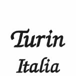 Turin Italia Polo Shirt embroidered shirts