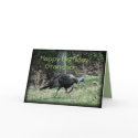 Turkey 6332-1  customize any occasion cards